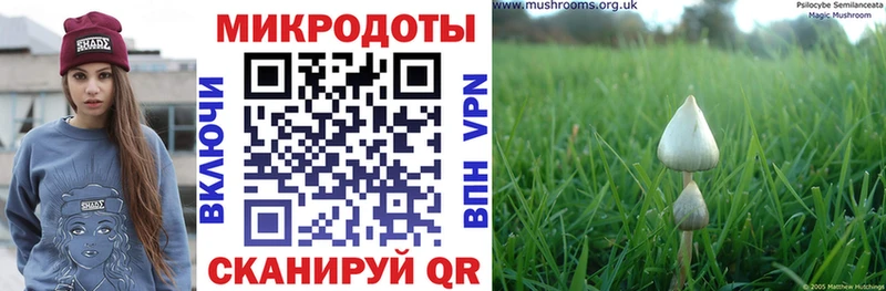 Псилоцибиновые грибы MAGIC MUSHROOMS  Анжеро-Судженск 